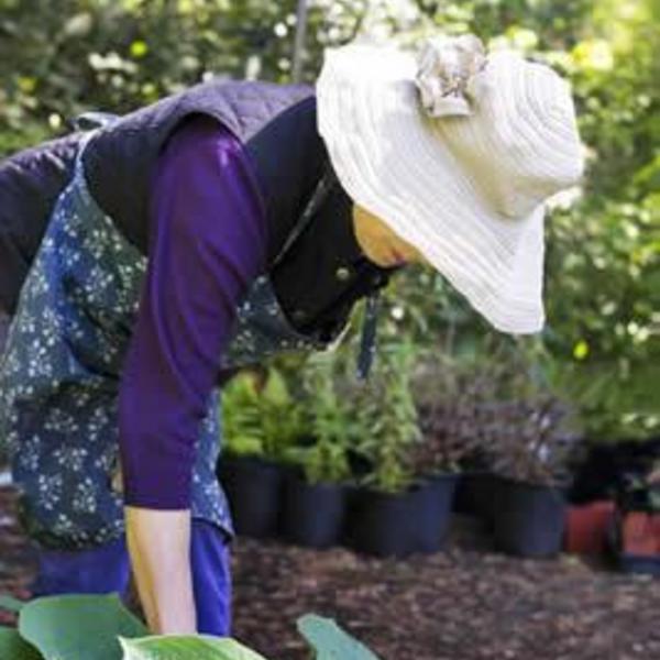 Woman working in the garden
