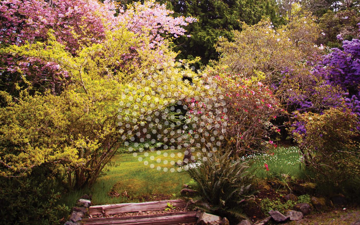 Colorful shrubs and greenery at Milner Gardens