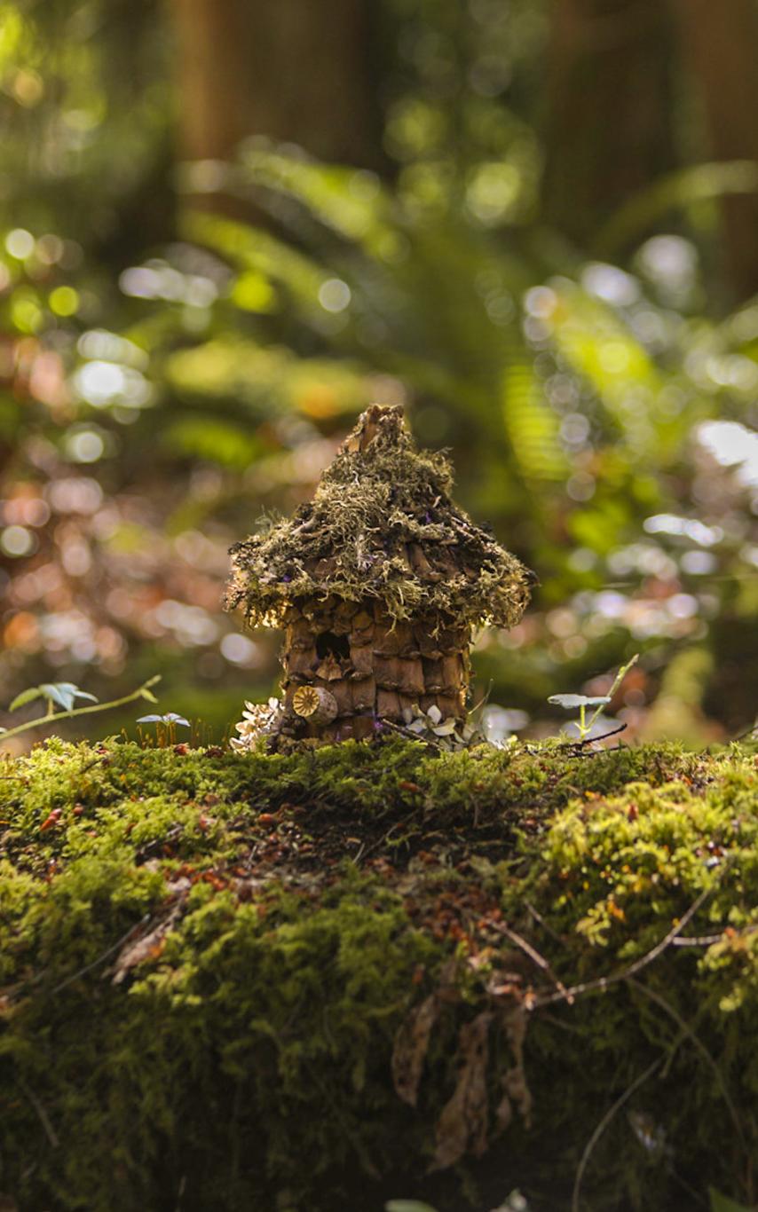 Small woodland fairy houses sitting on a mossy stump in the forest.